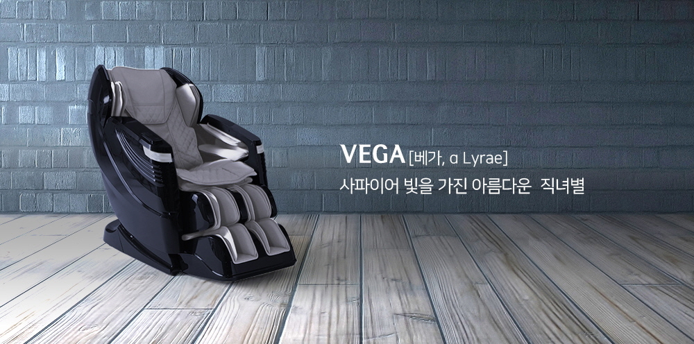 VEGA_07.jpg