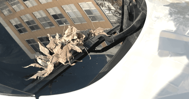 6_4.gif
